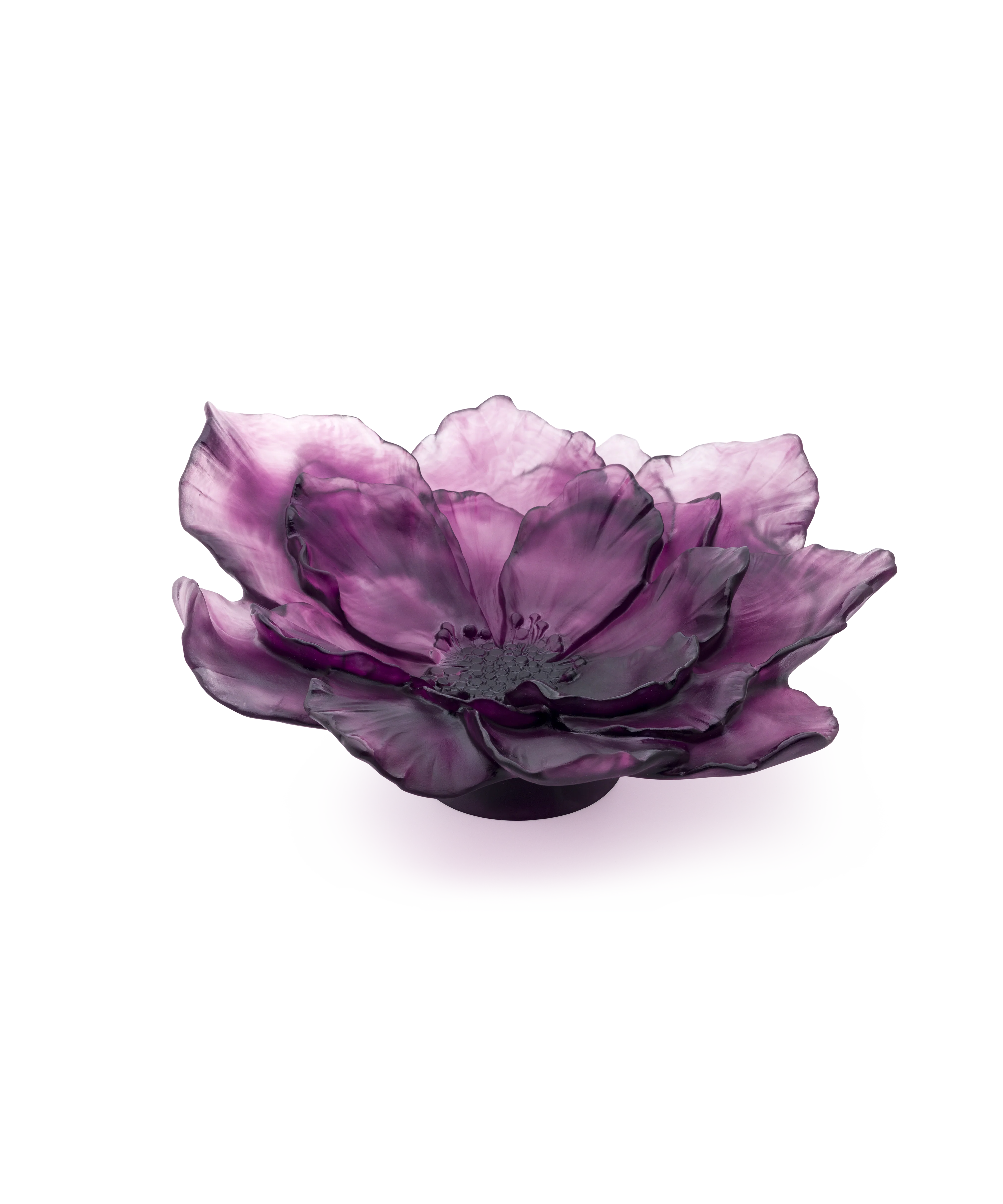 Camelia Coupe grand modèle Violette - Image 3