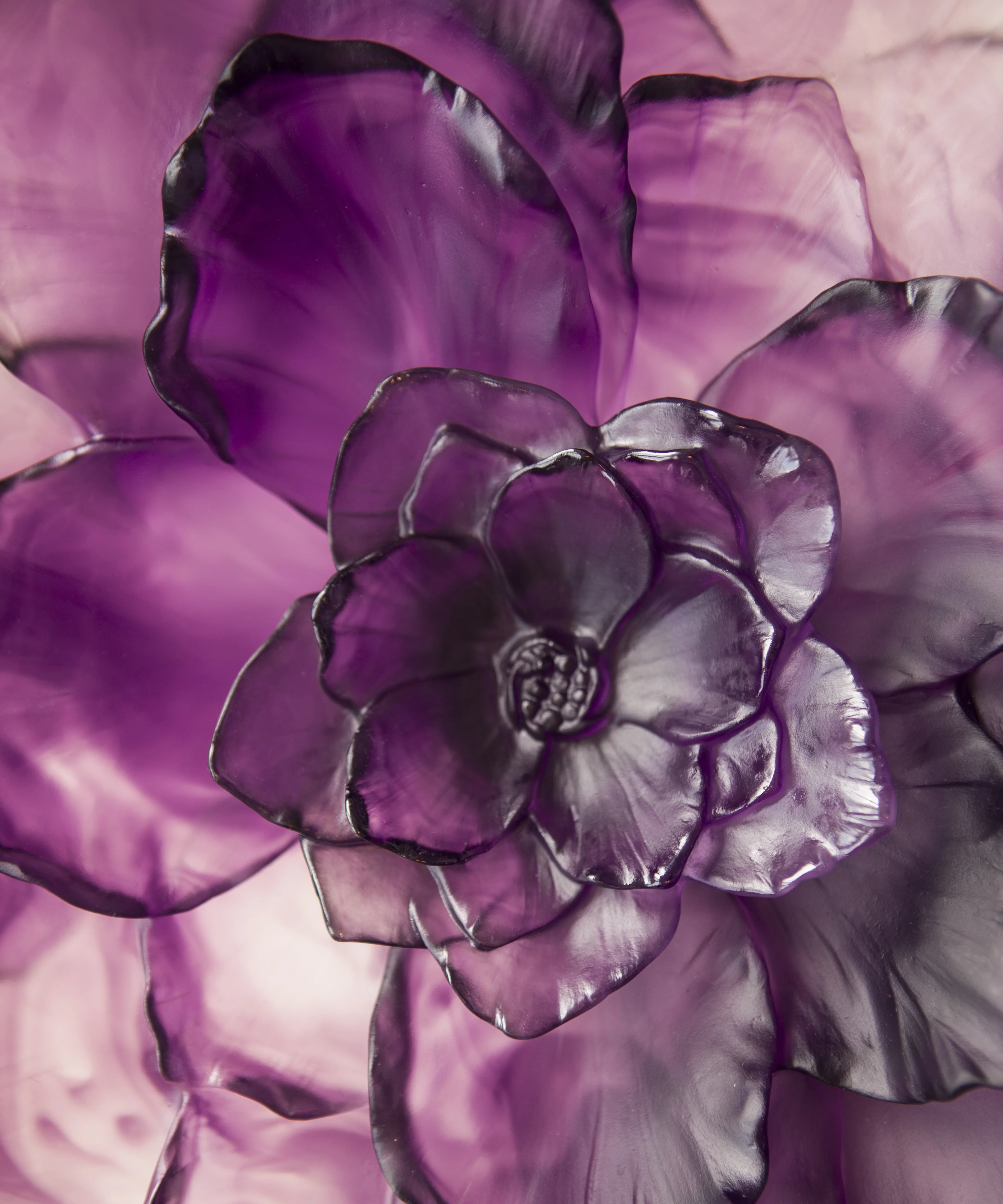 Camelia Coupe grand modèle Violette - Image 4
