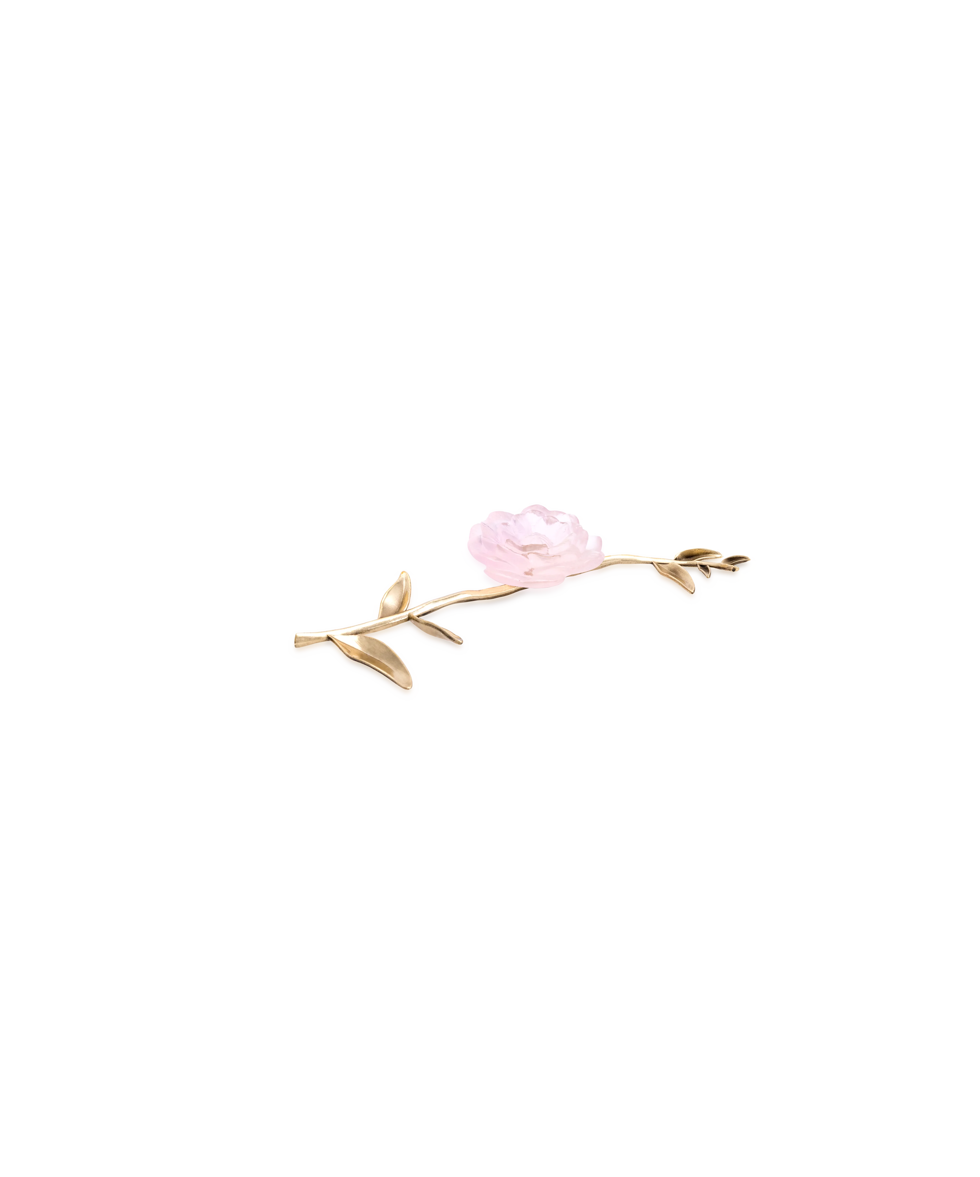 Camelia Fleur d'apparat Rose - Image 3