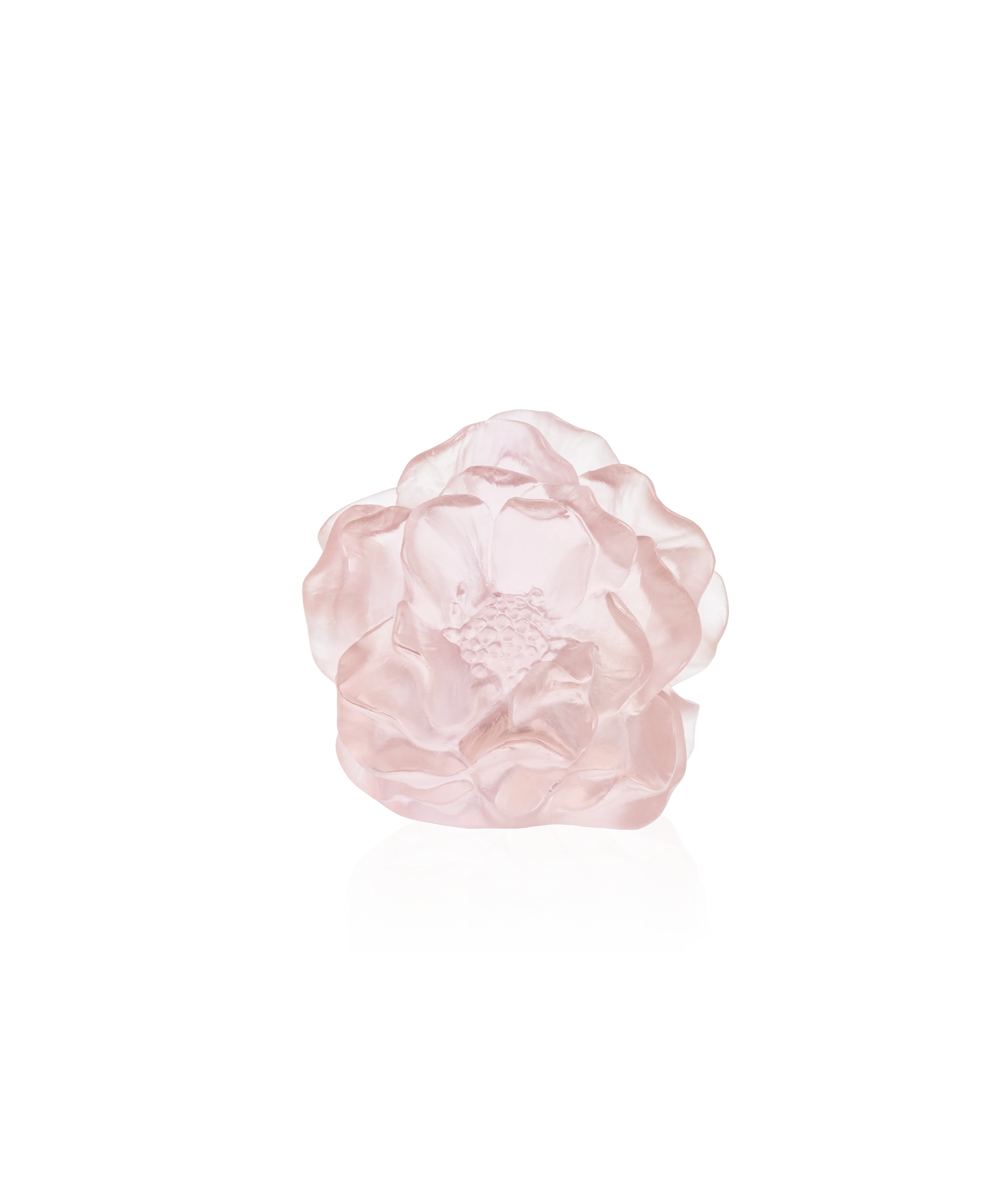 Camelia Fleur décorative Rose - Image 3