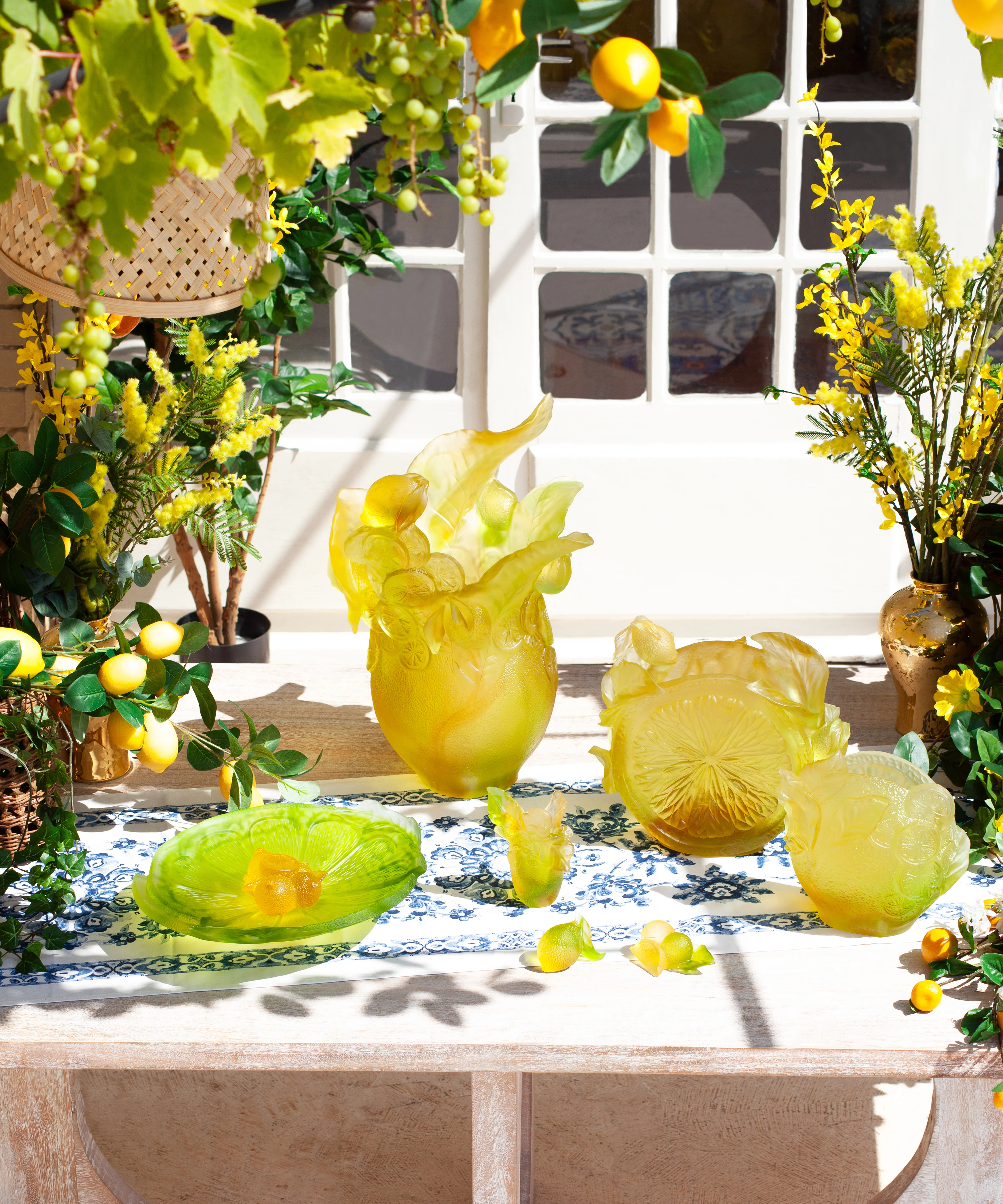 Citrus Composition décorative - Image 5