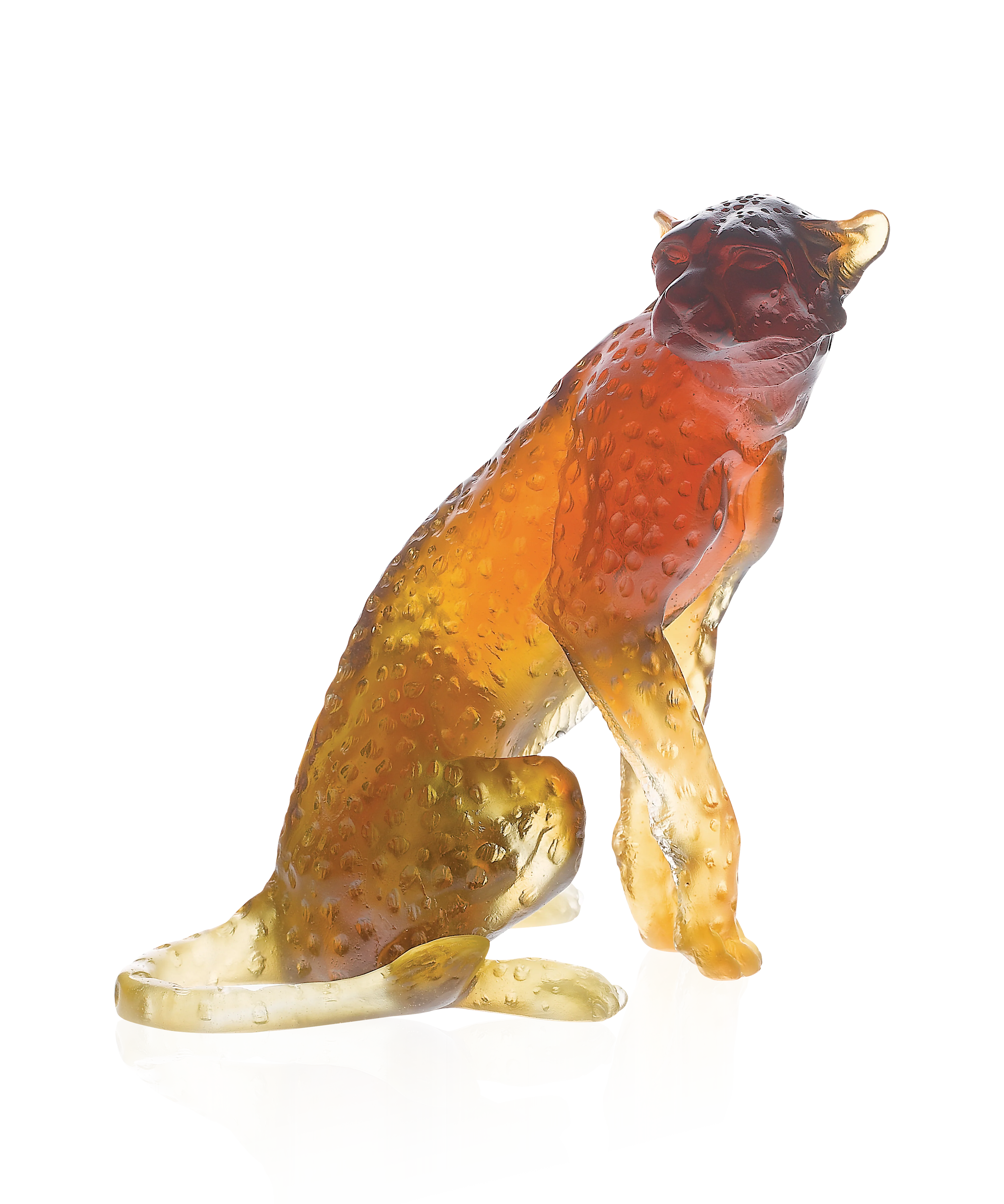 Guépard assis Ambre de Jean-François Leroy 1000ex