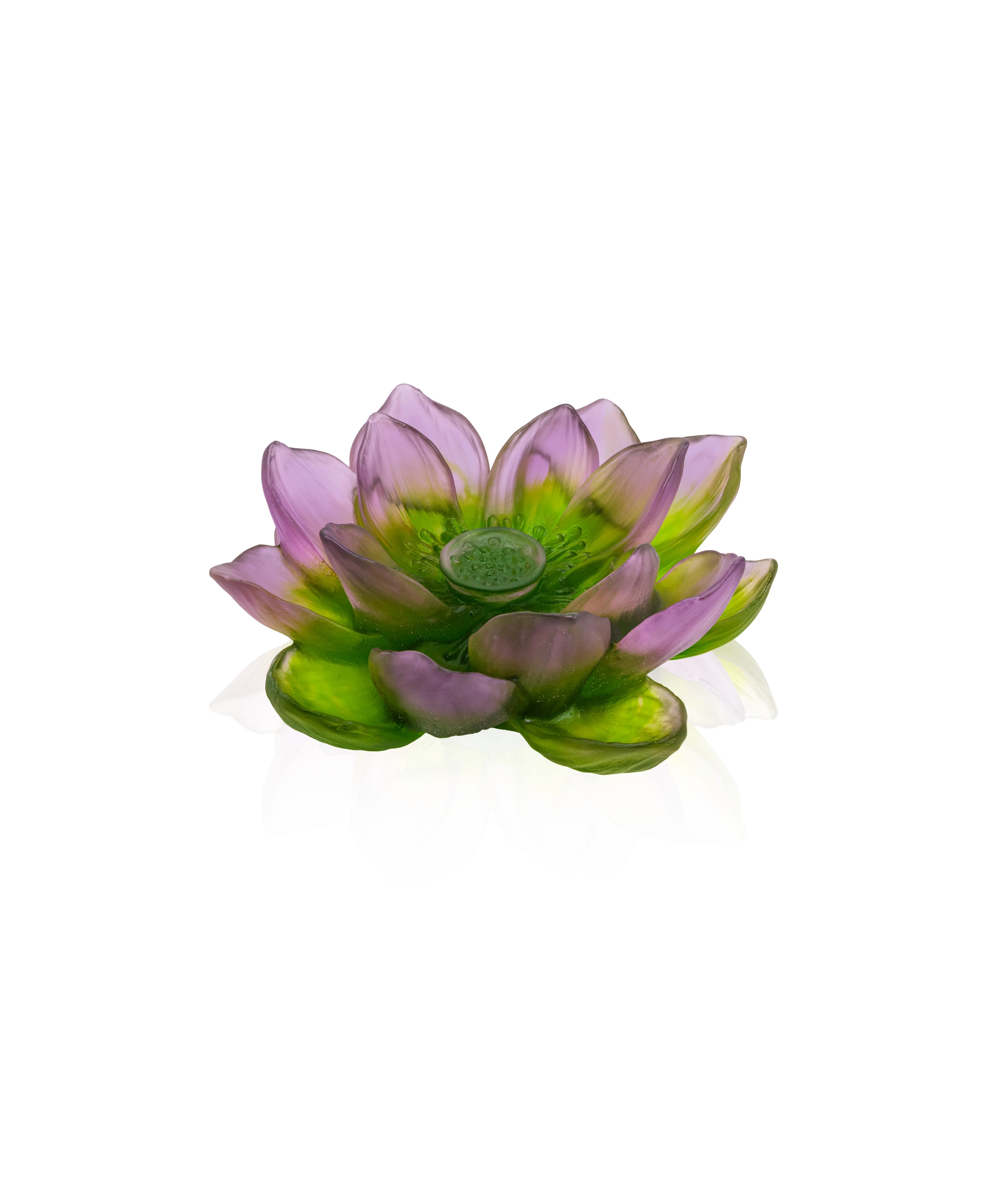 Miniature 1