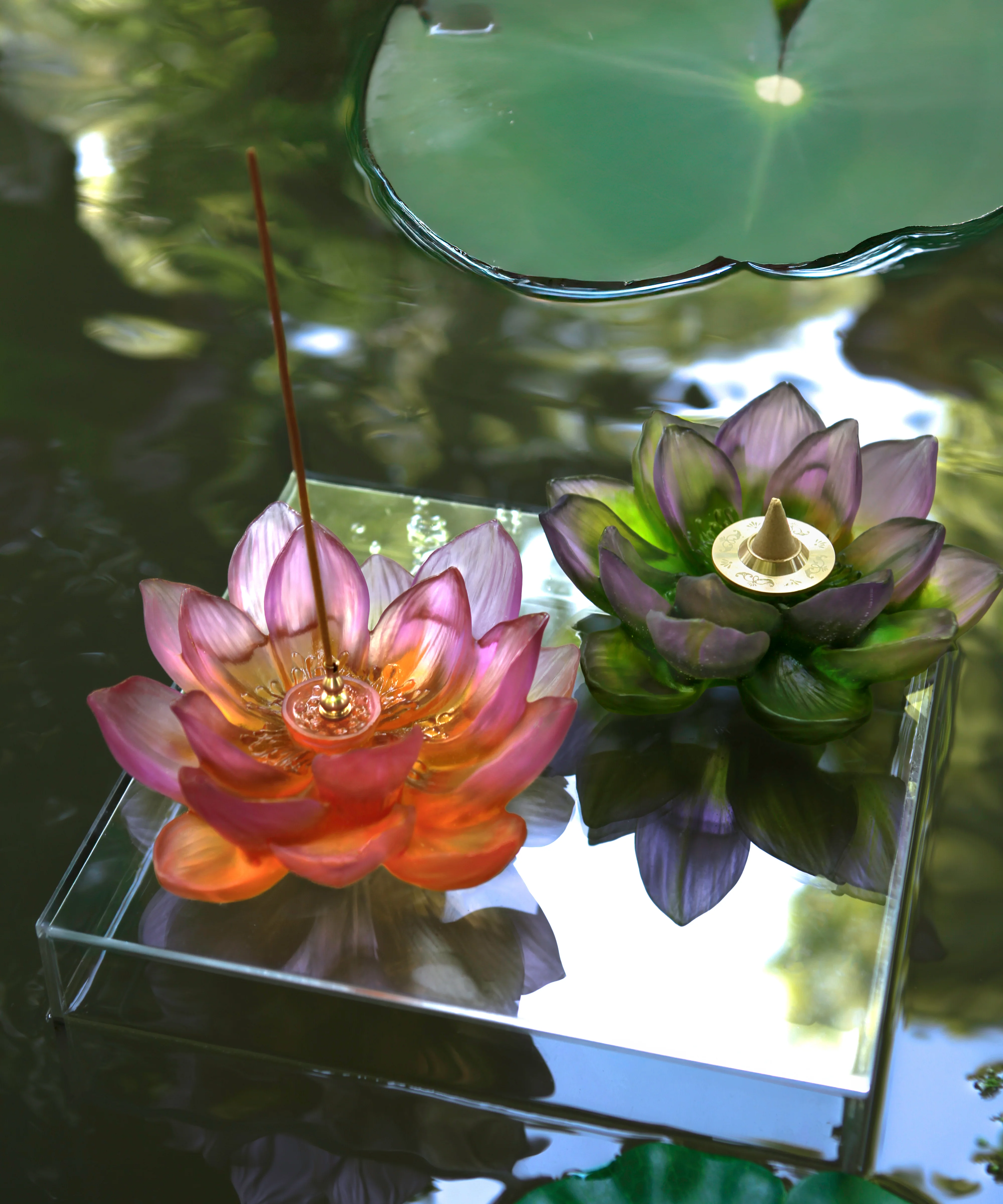 Miniature 2
