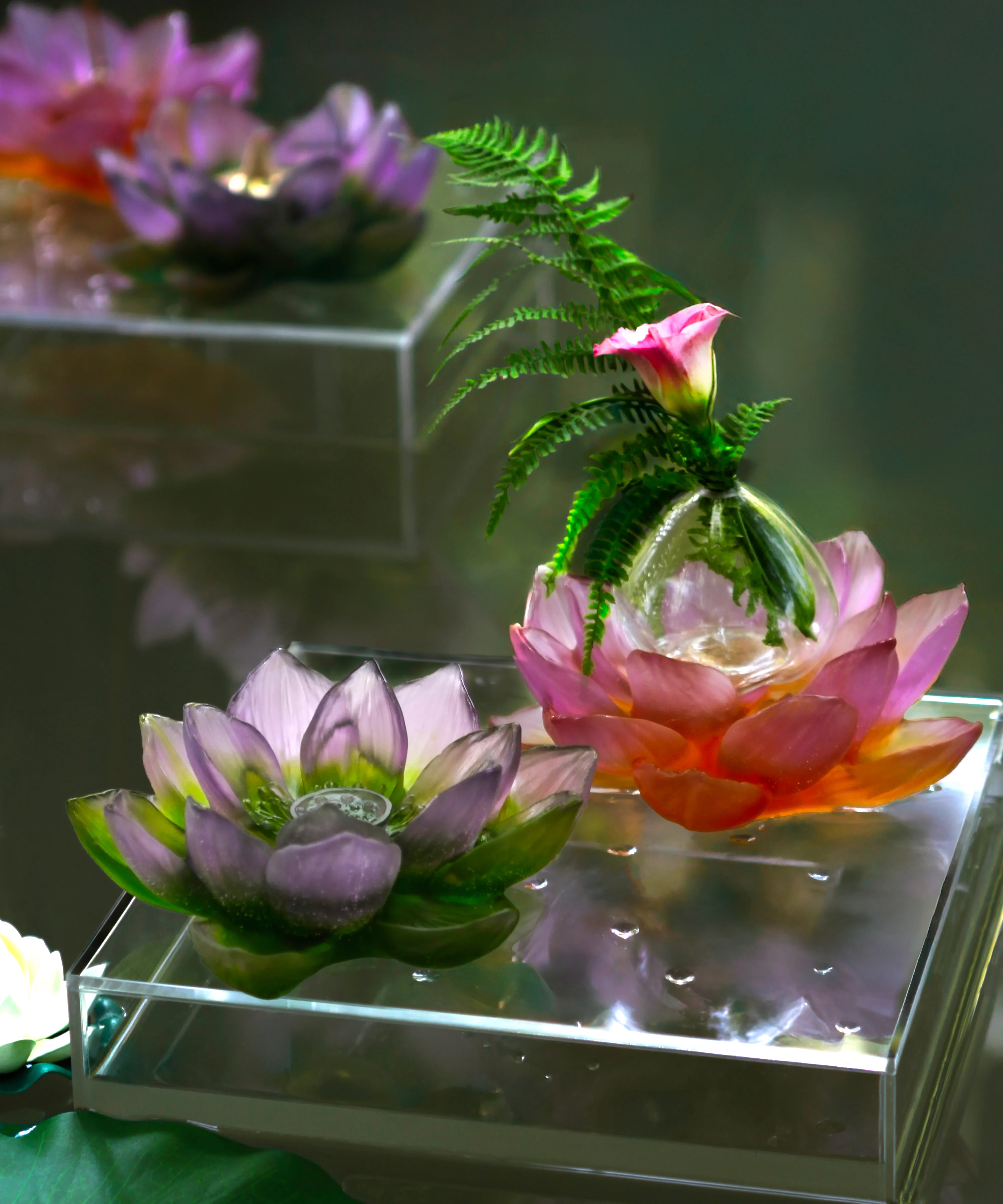 Jardin de Lotus Soliflore Ambre-rose - Image 4