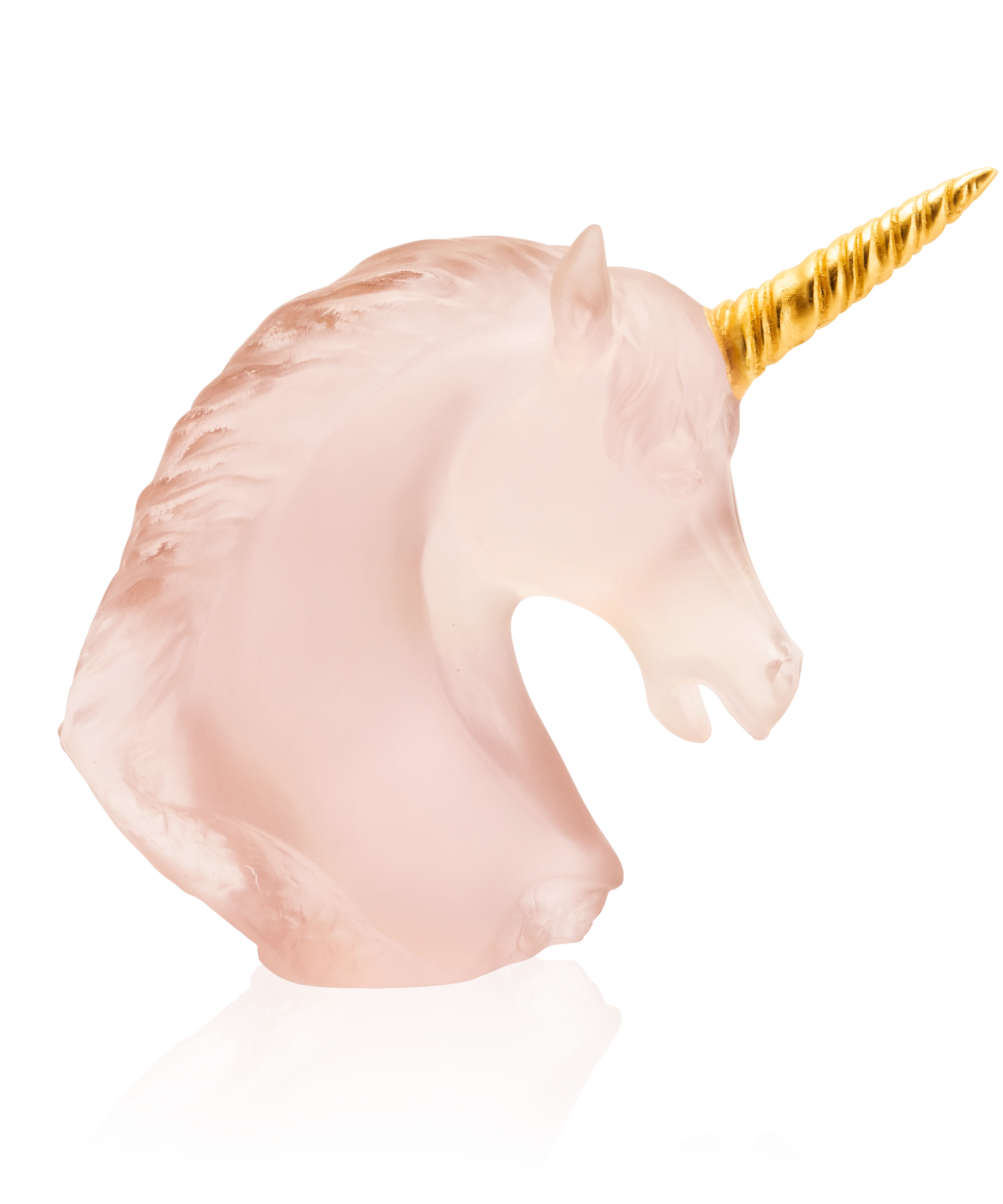 Licorne 125ex