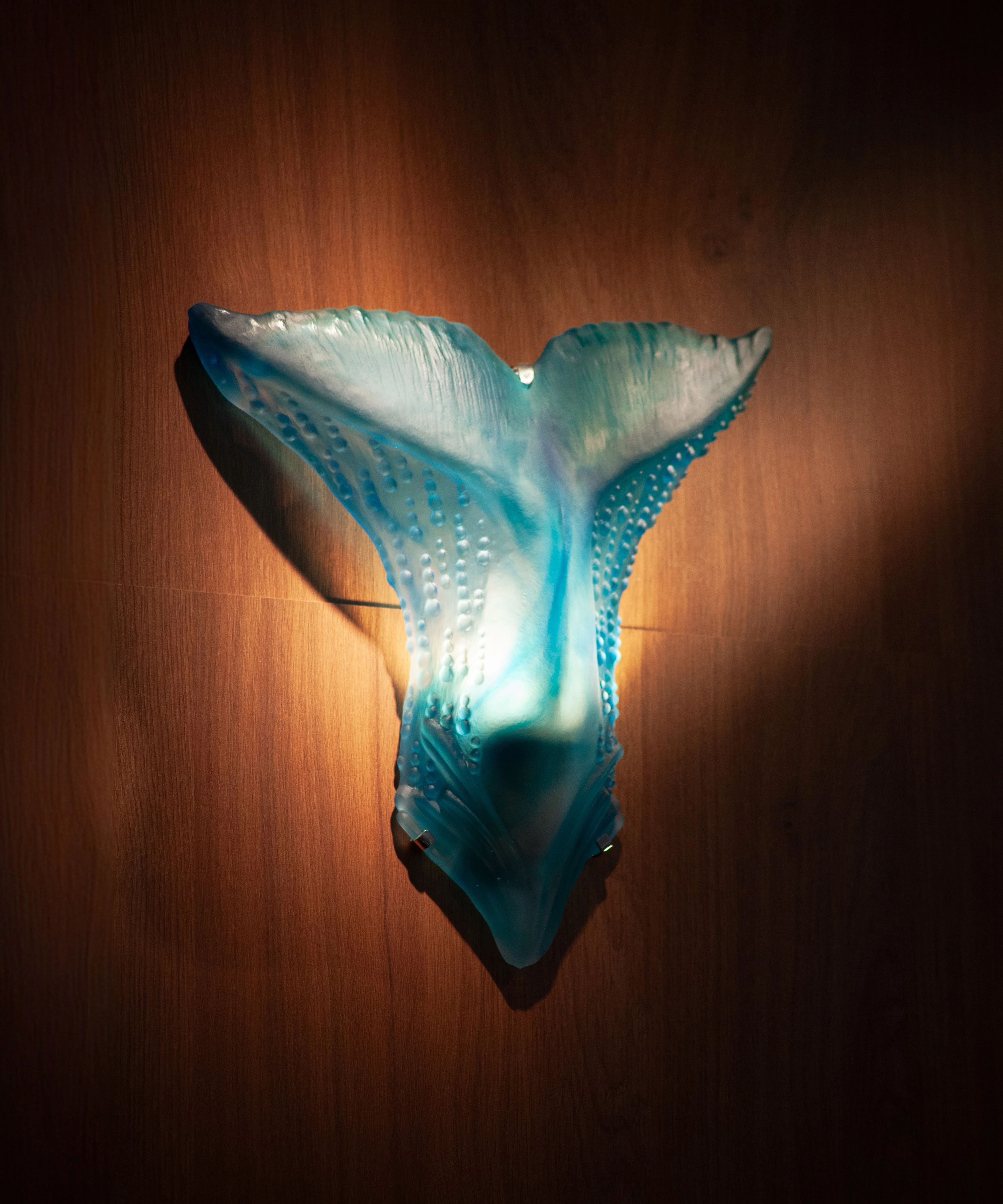 Maya Applique baleine - Image 2