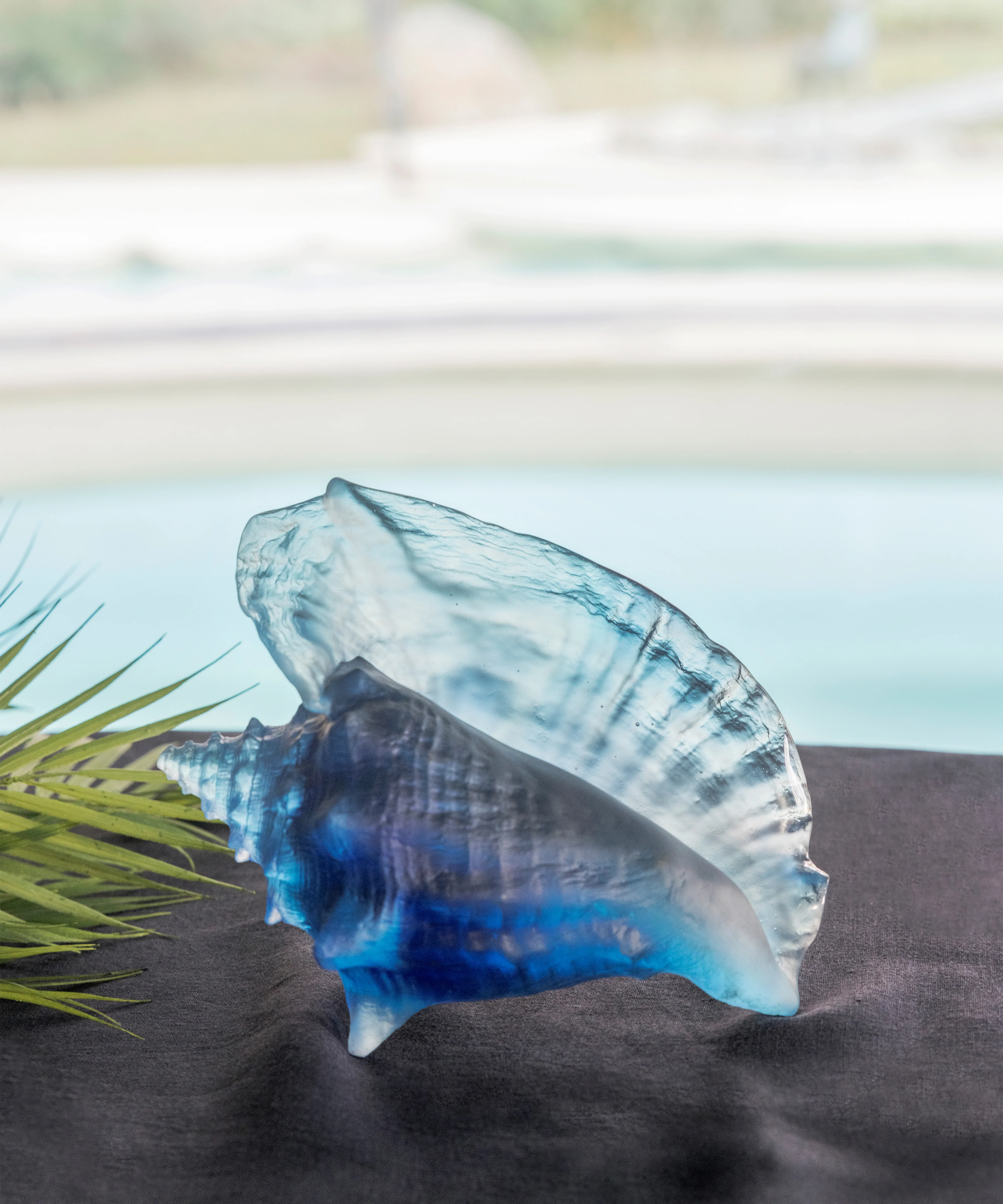 Mer de Corail Coquillage conque - Image 5