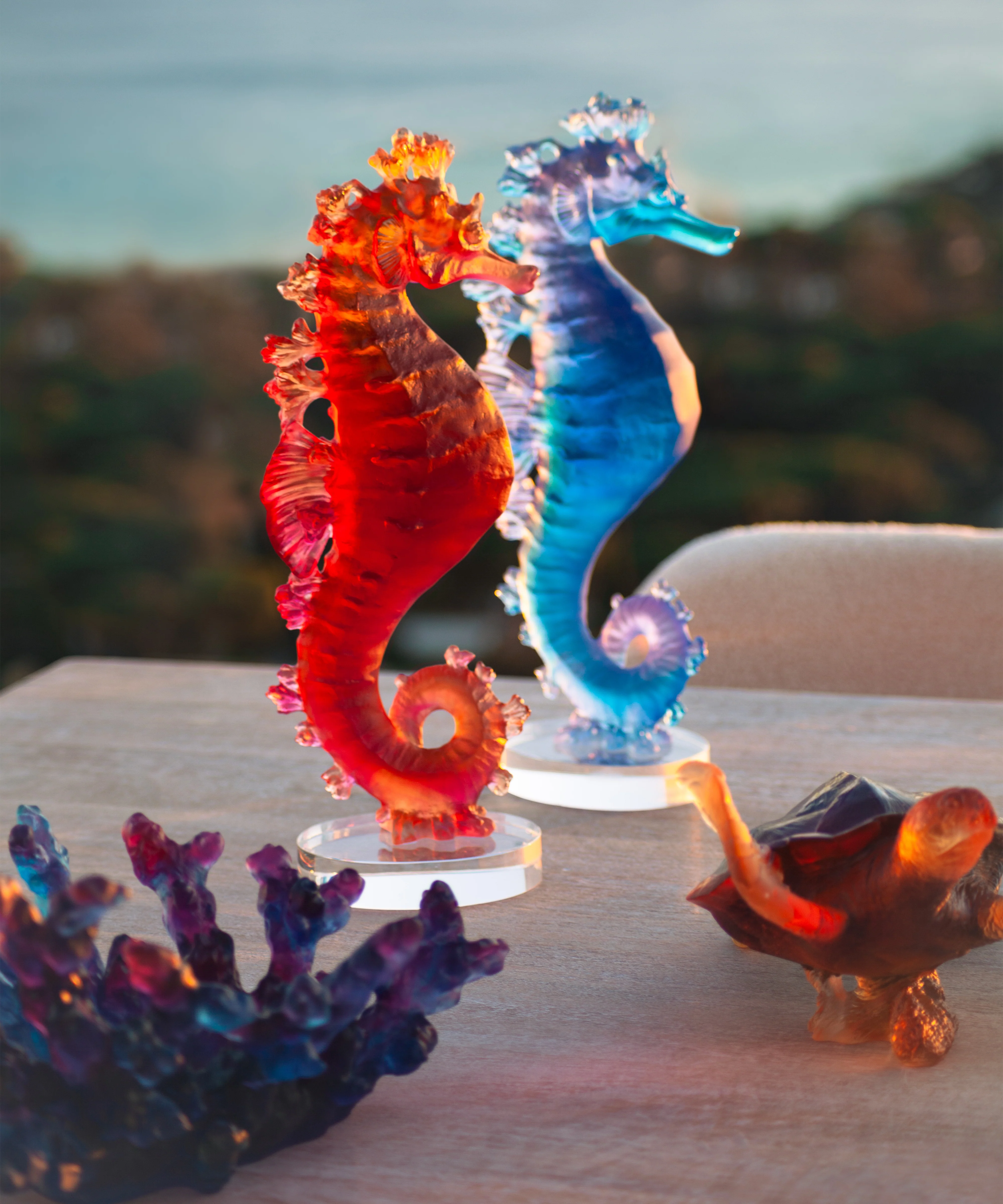 Mer de Corail Hippocampe Ambre rouge - Image 3