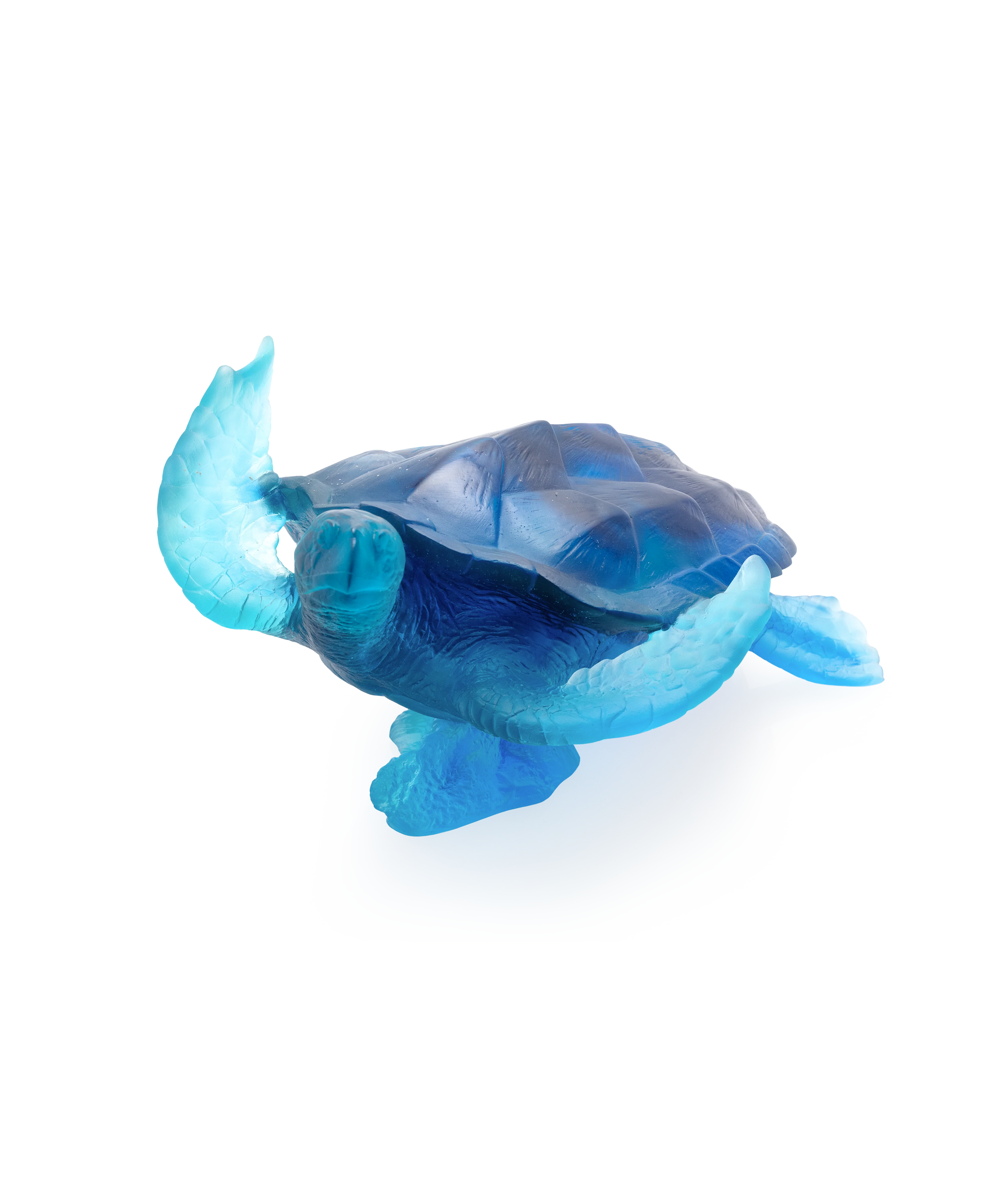 Mer de Corail Tortue de mer grand modèle Bleue - Image 3