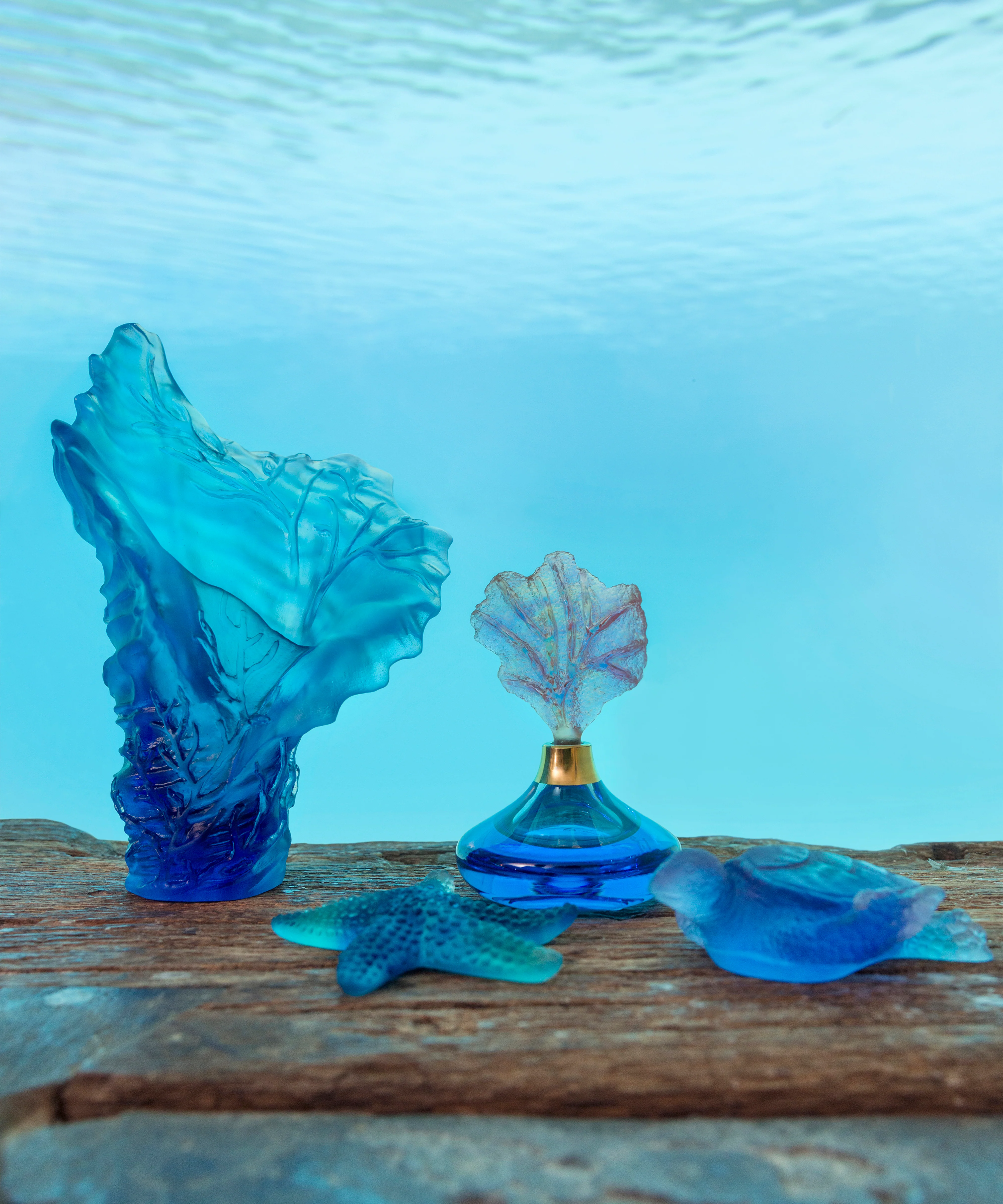 Mer de Corail Tortue de mer moyen modèle Bleu et rose - Image 4