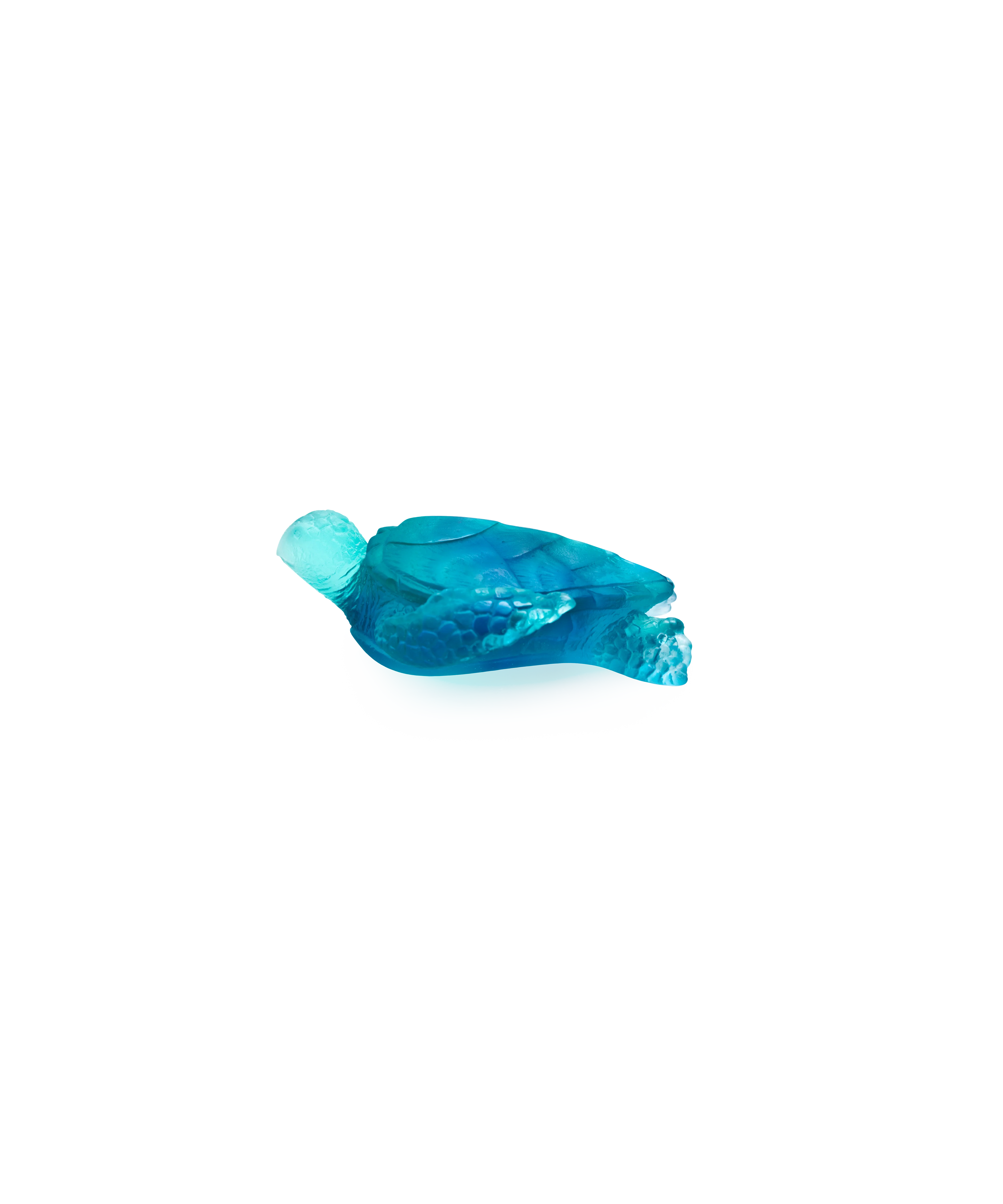 Mer de Corail Tortue de mer moyen modèle Bleue