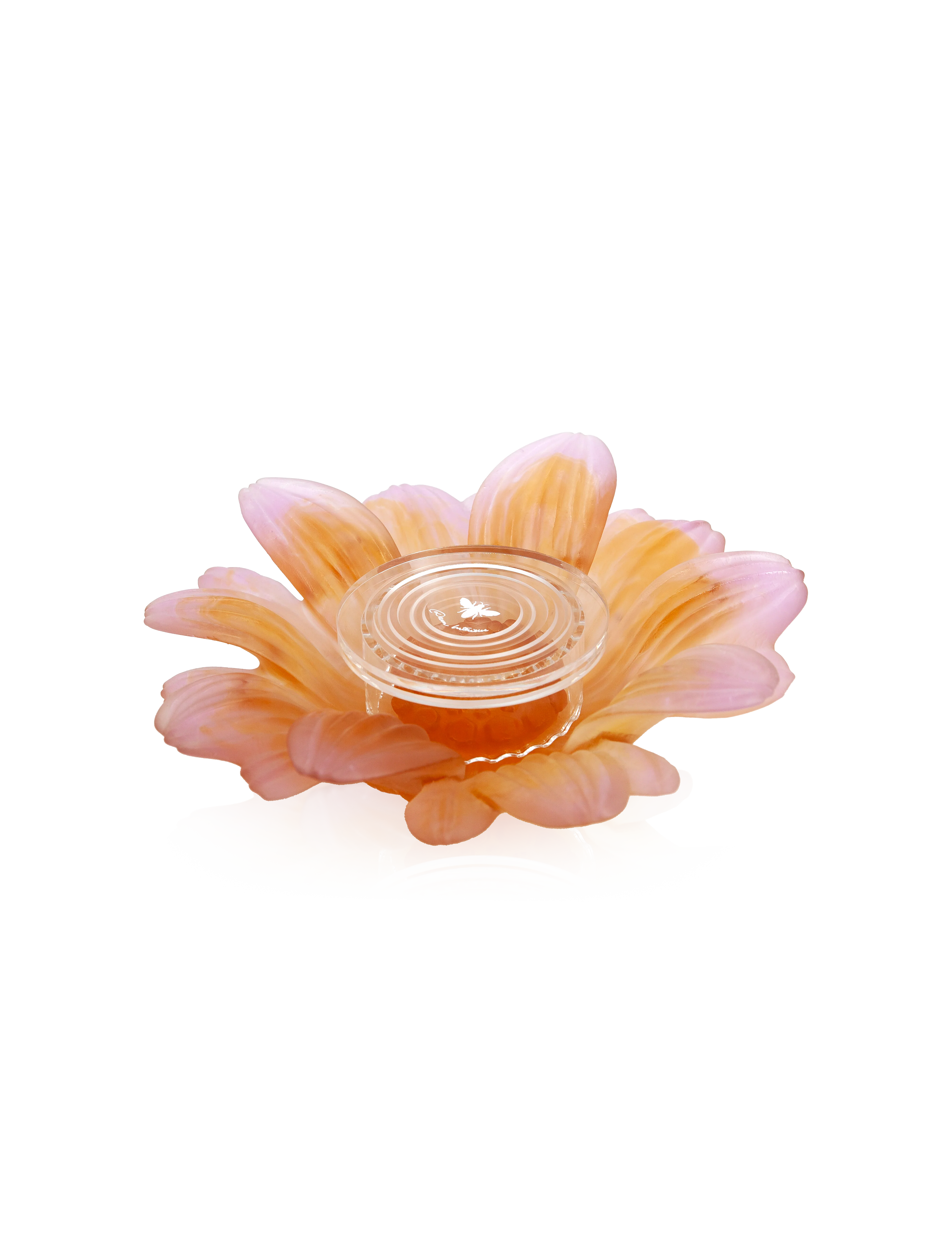 Or d'Abeille Fleur de présentation petit modèle blanche - Image 5