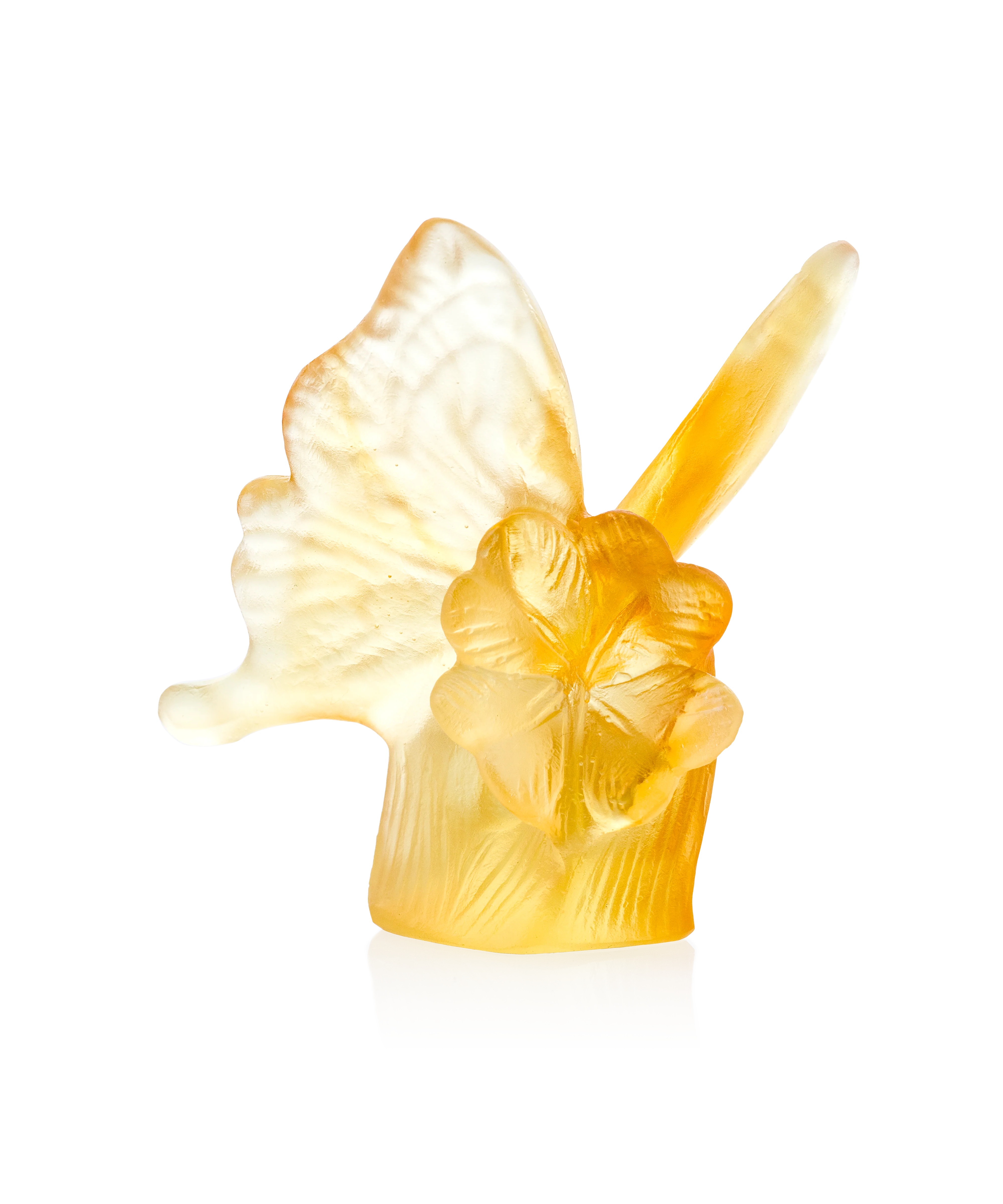 Papillon Ambre et jaune - Image 3
