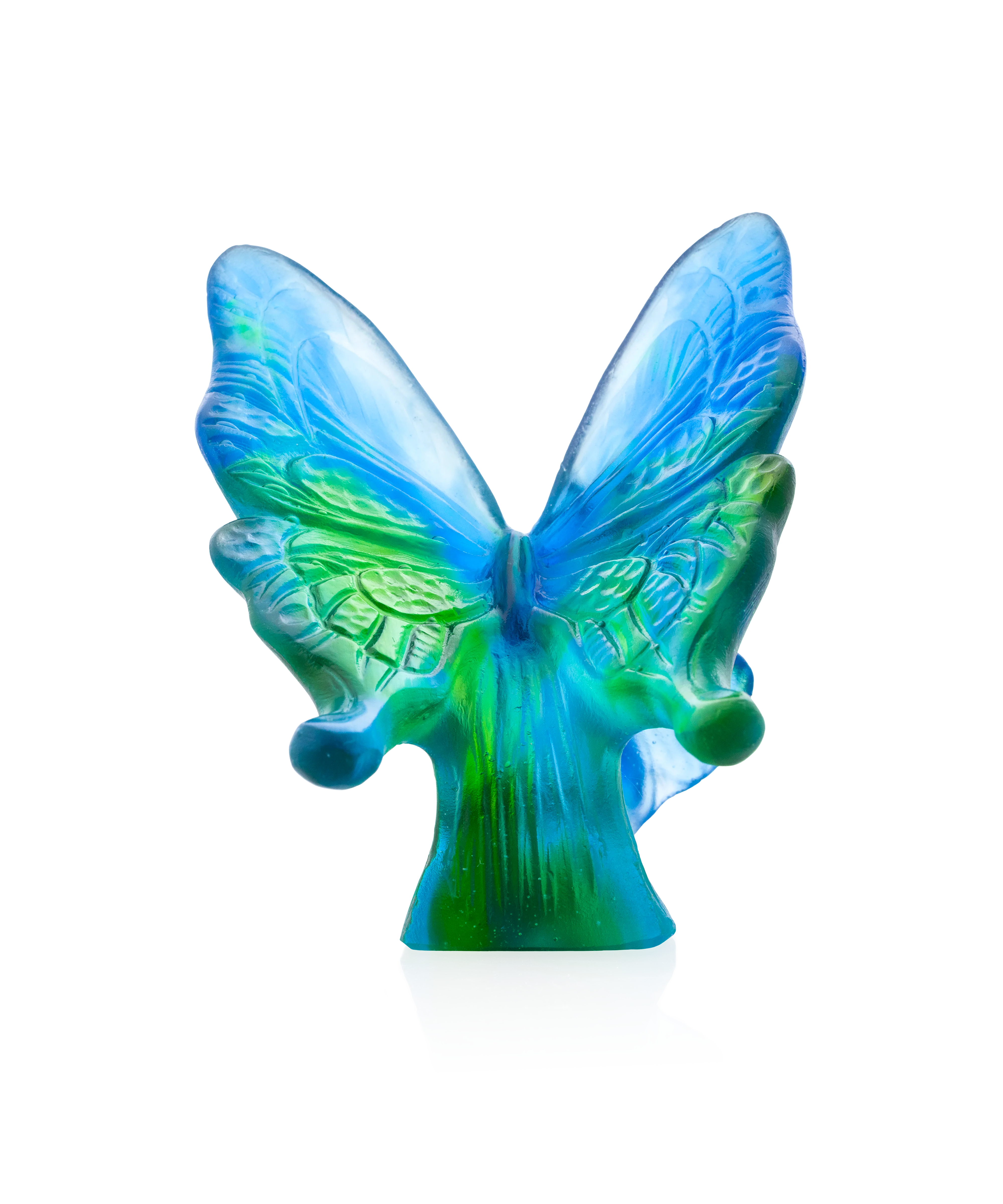 Papillon Bleu et vert