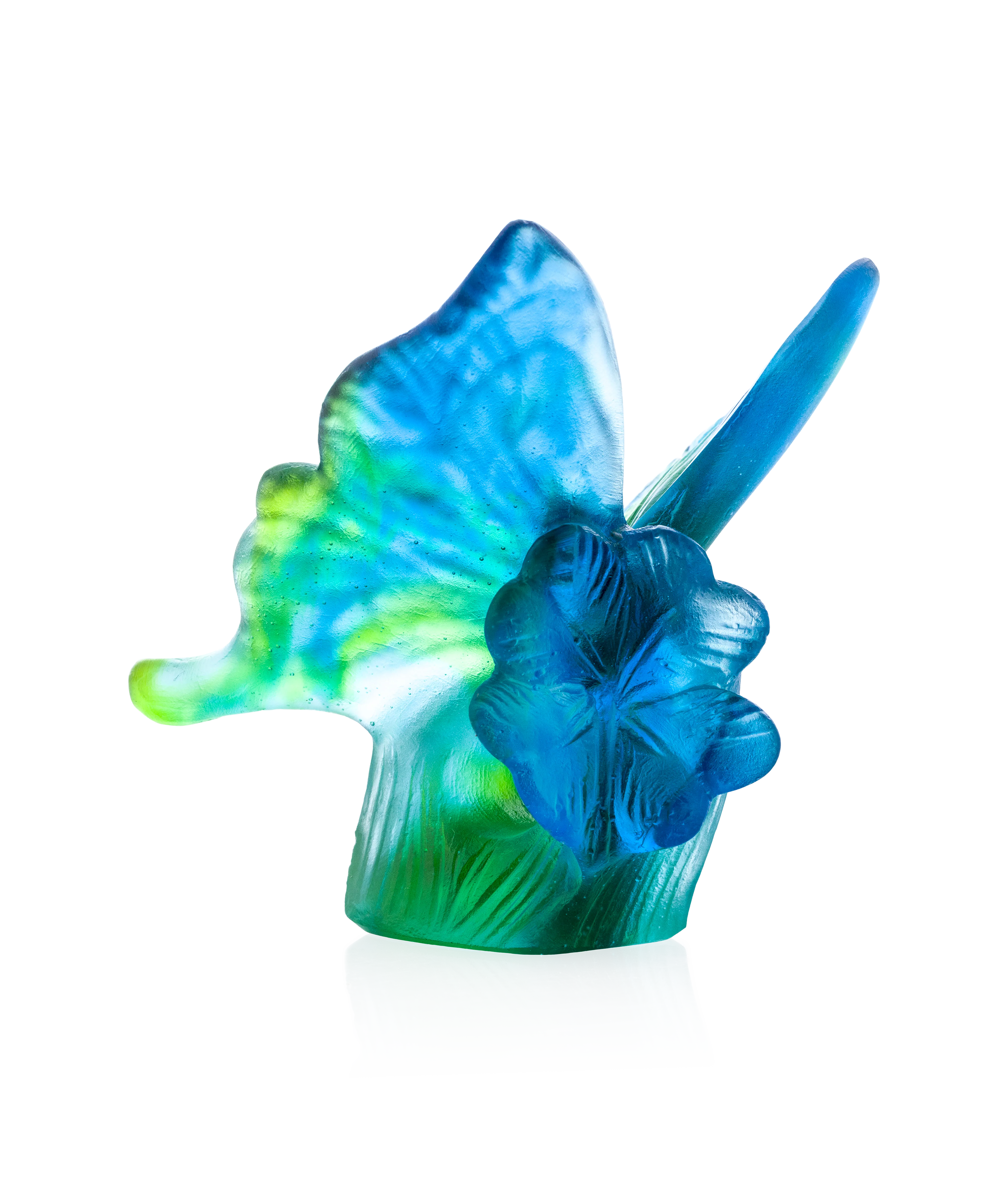 Papillon Bleu et vert - Image 3