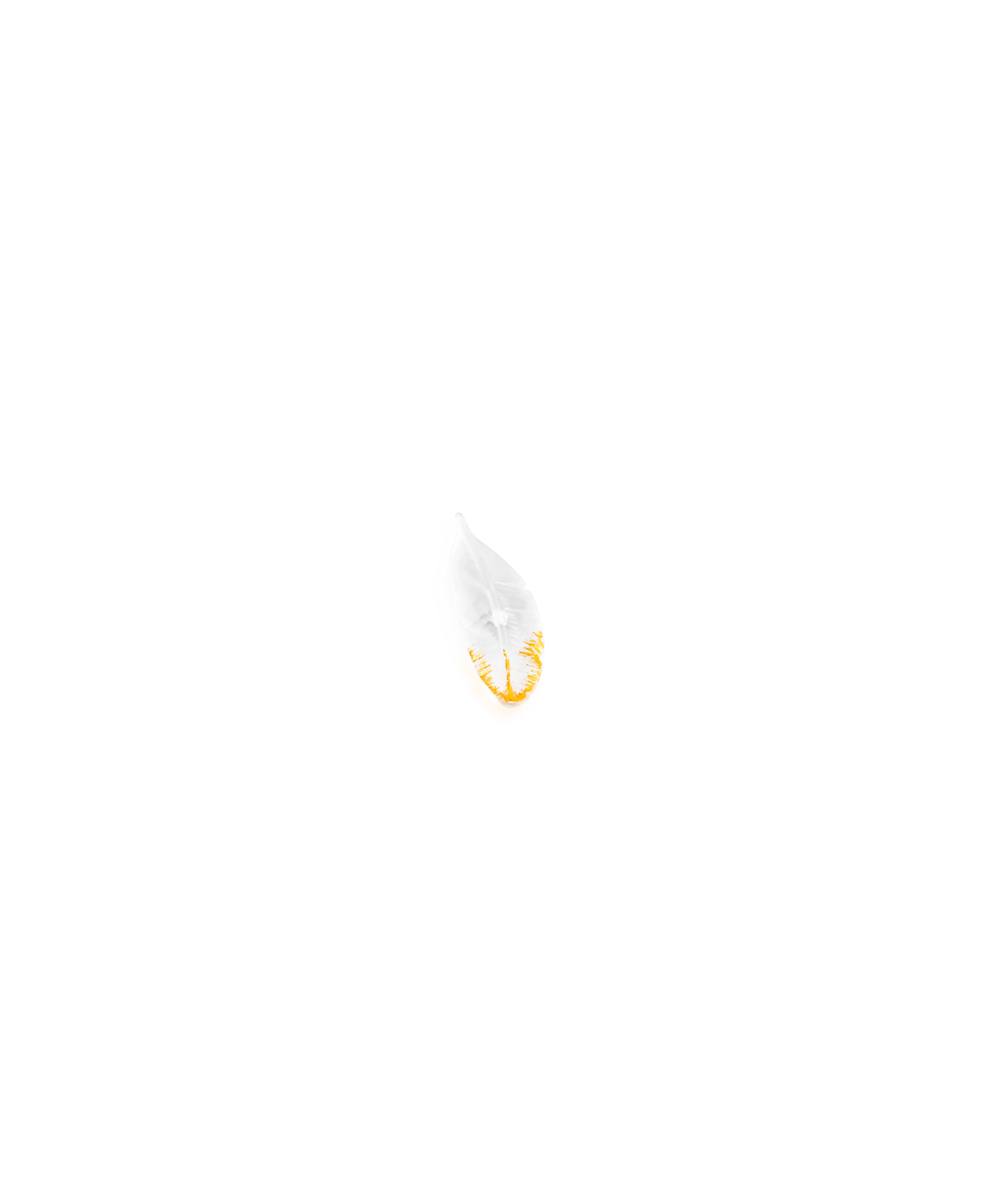 Plum'ky de Patrick Rougereau - Image 3