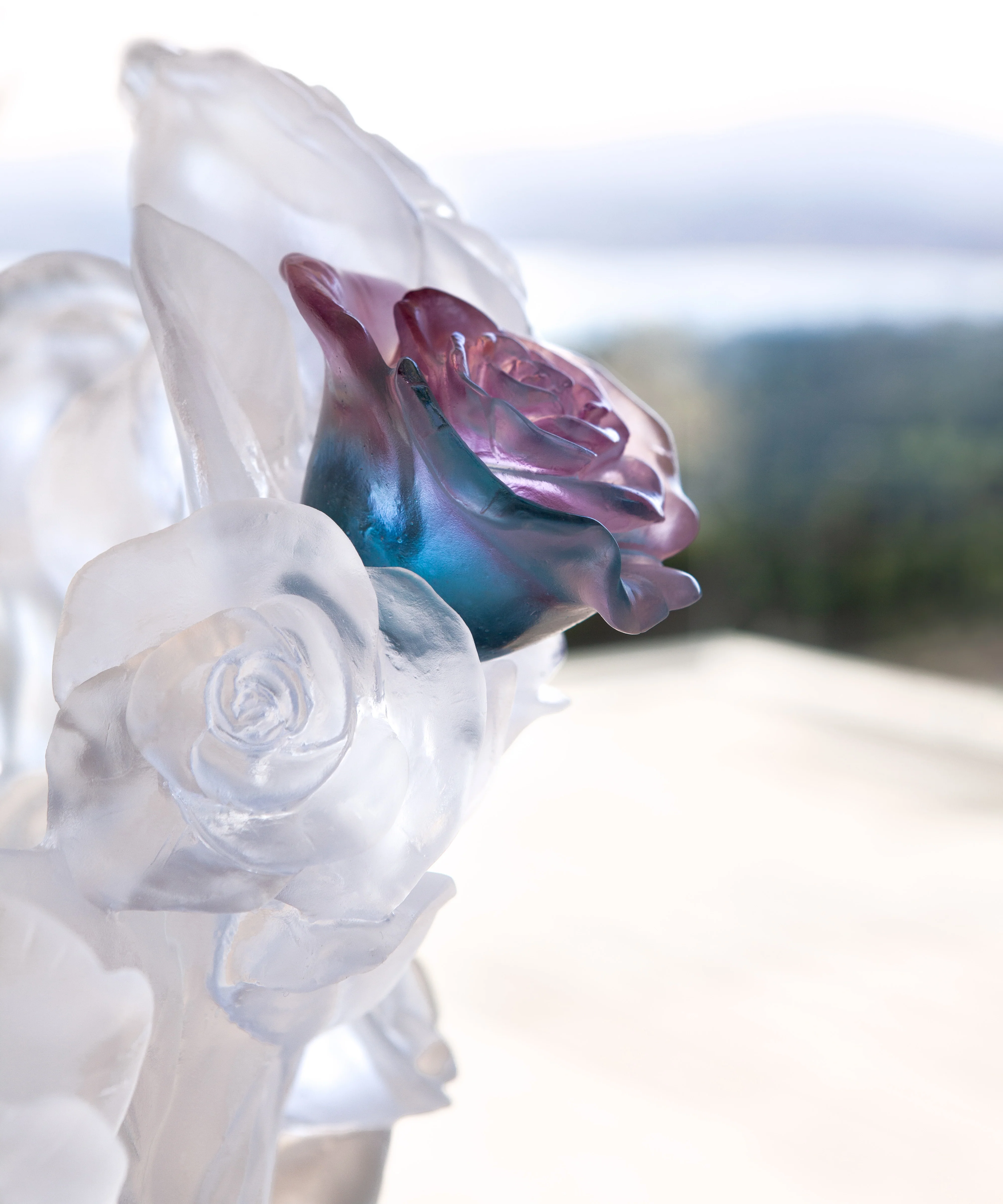 Rose Passion Vase magnum Blanc, fleur verte et rose 50ex - Image 2