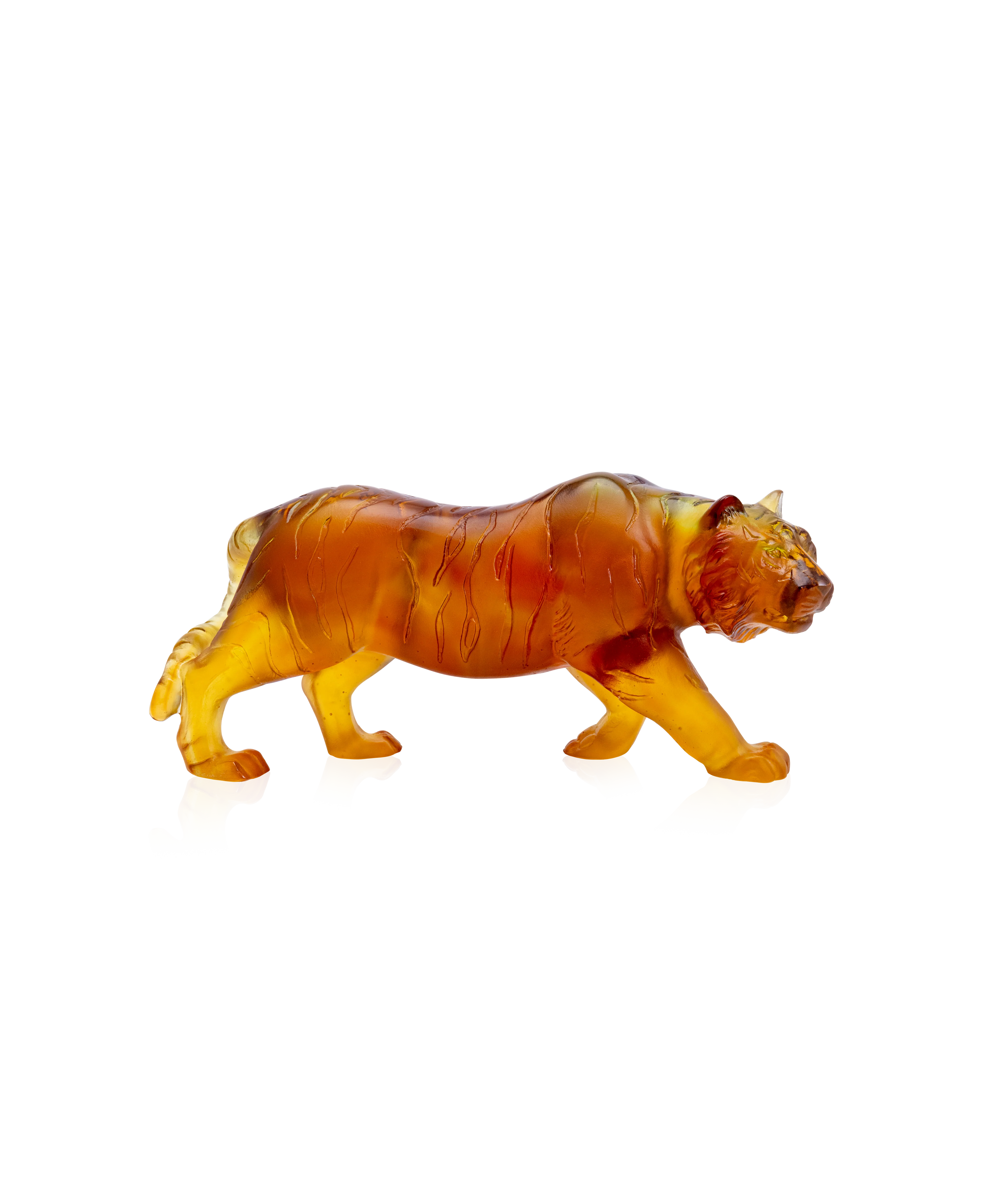 Tigre