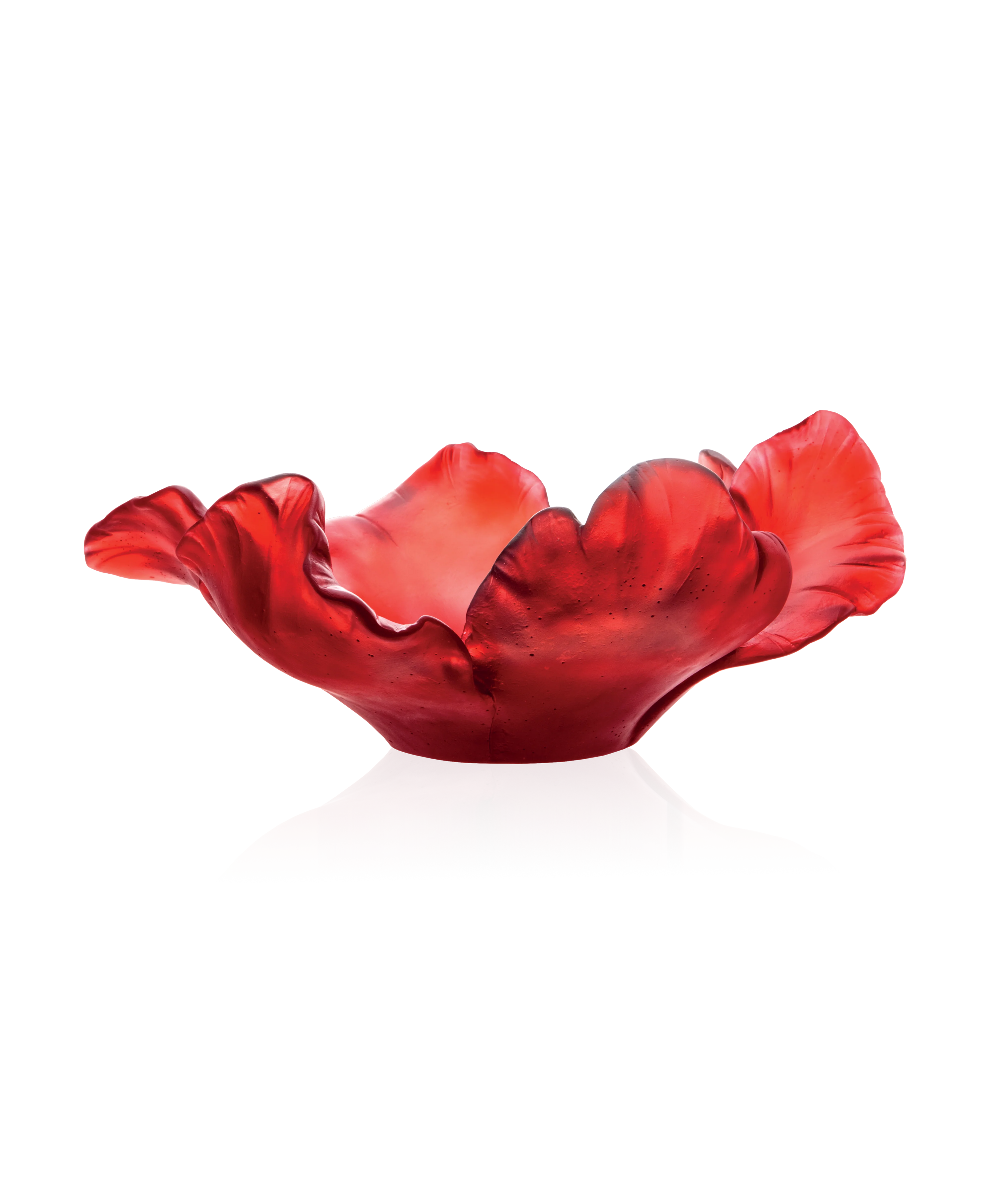 Tulipe Coupe Rouge - Image 3